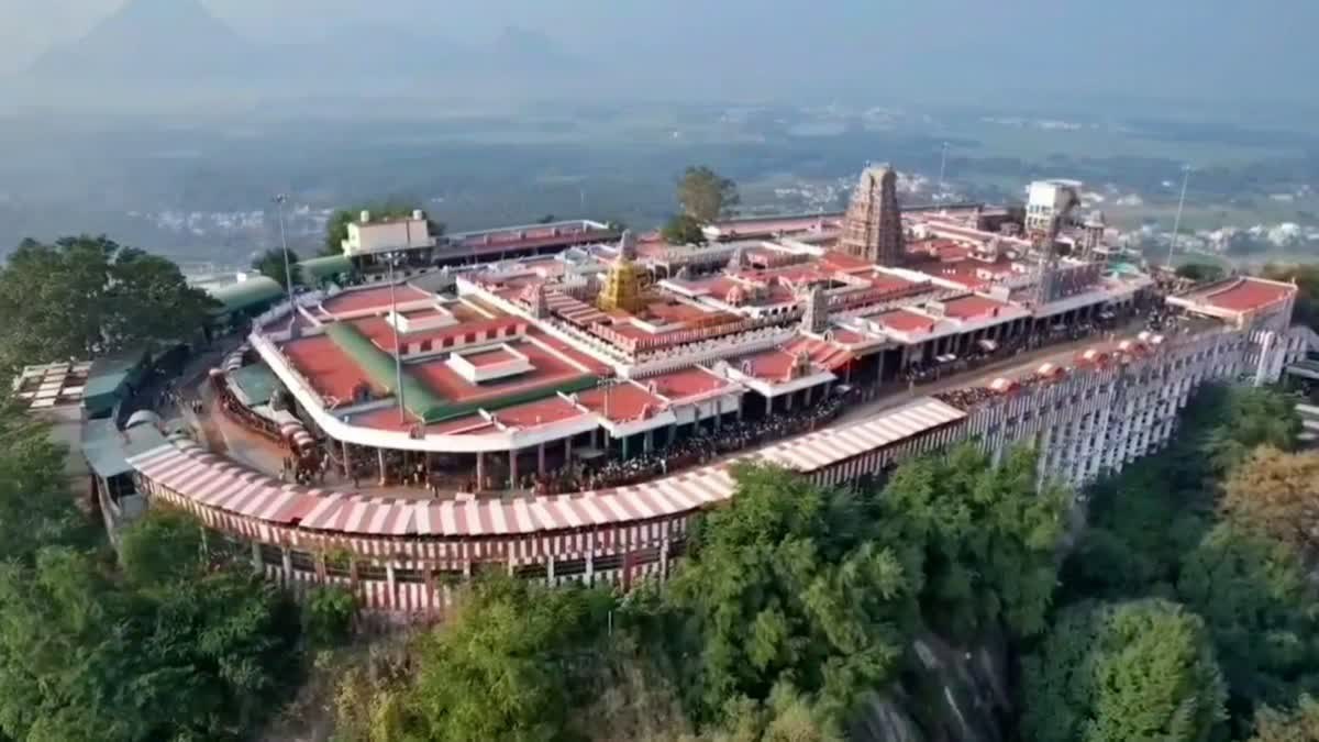 பழனி கோயில்