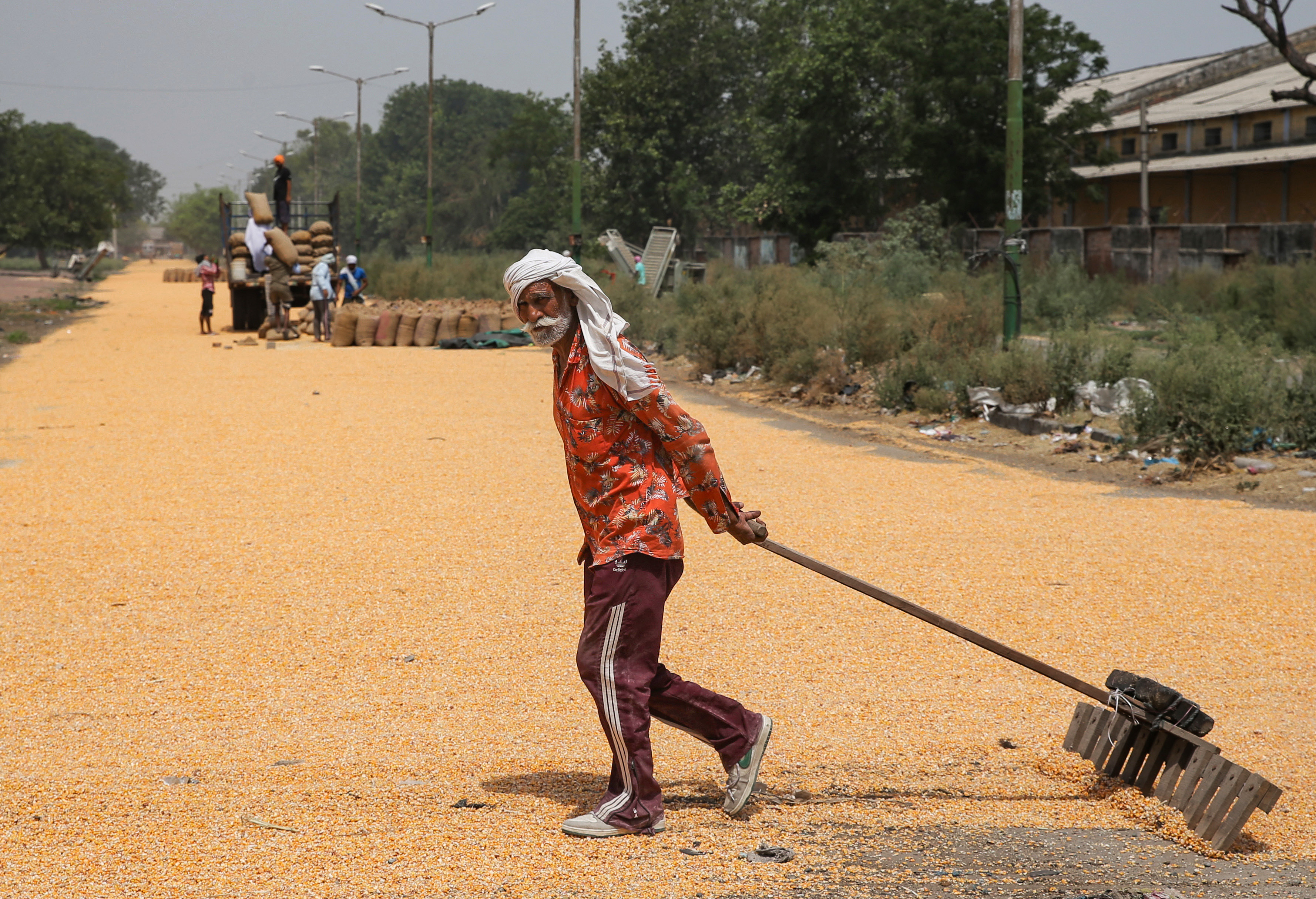 FILE - A worker spreads Maize grains to dry them under the sun at a grain market.
