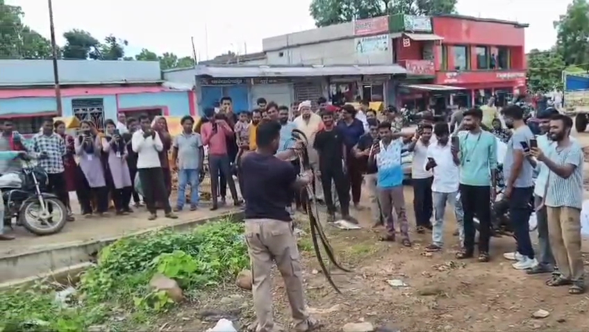 MCB Snake Rescue