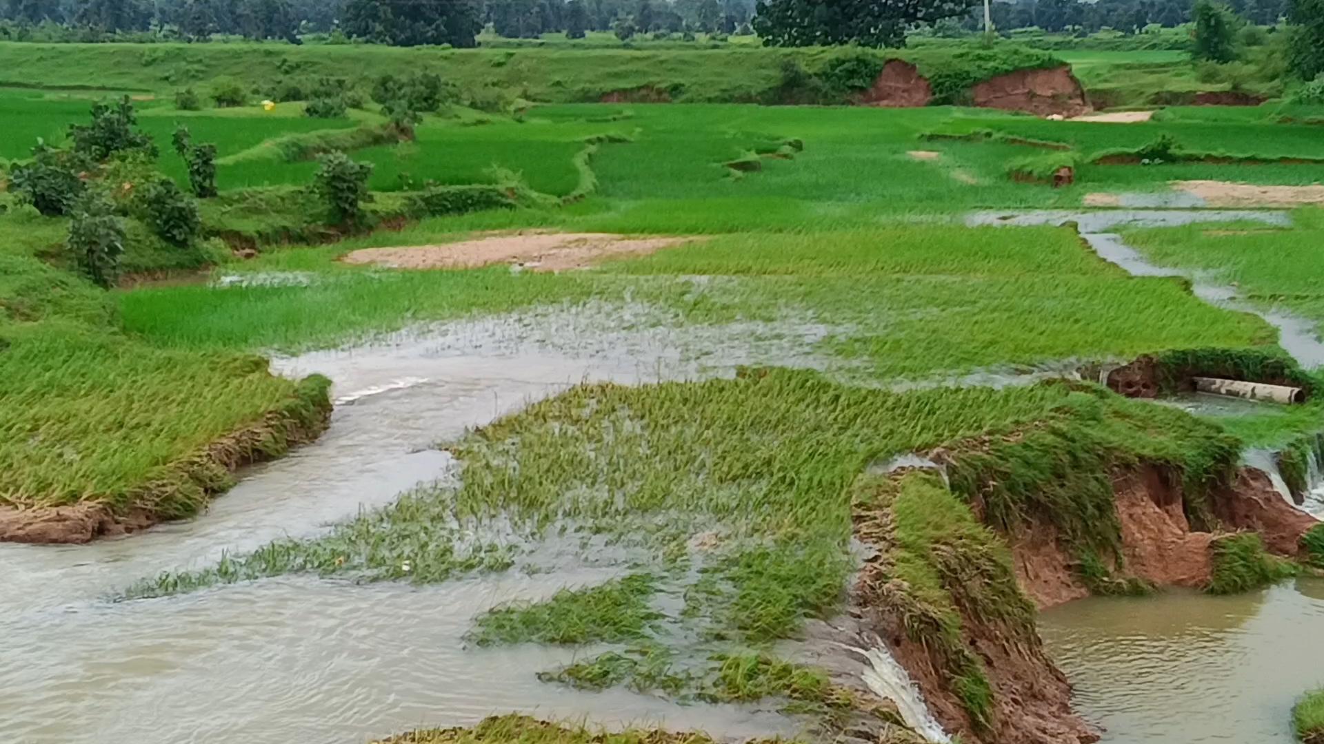 Latehar Gurgu village Barbandh damaged