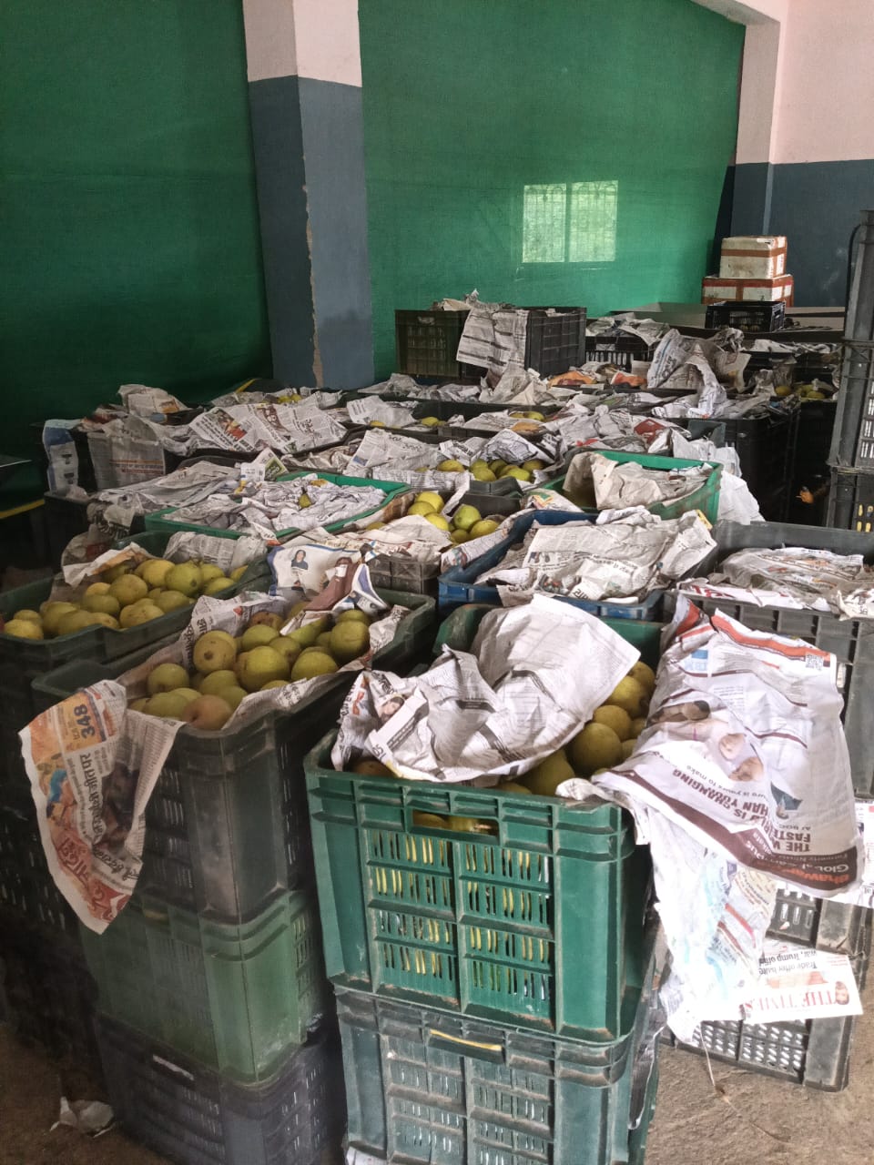 Netarhat pears being linked to organized markets under JSLPS In Jharkhand