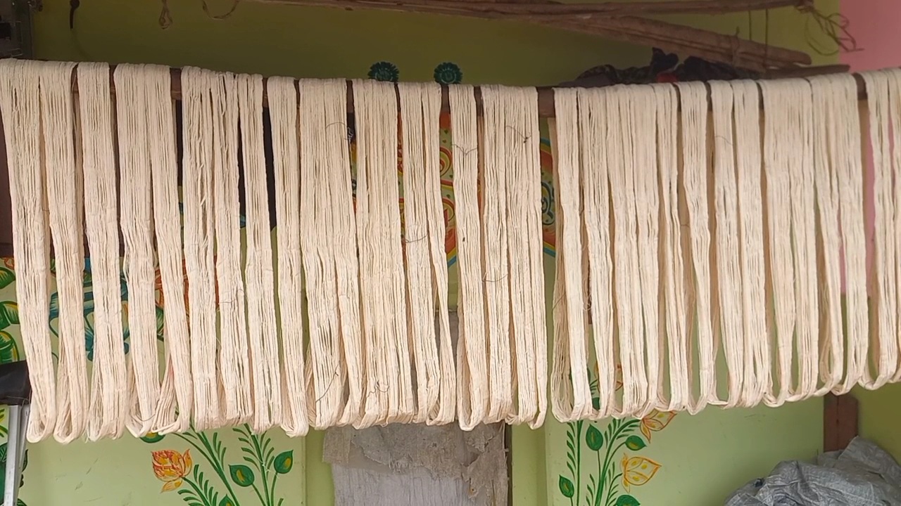 Looms Fall Silent: Odisha’s Alandia Gamuchha From Puri Fades As Weavers Seek GI Tag And Wider Market