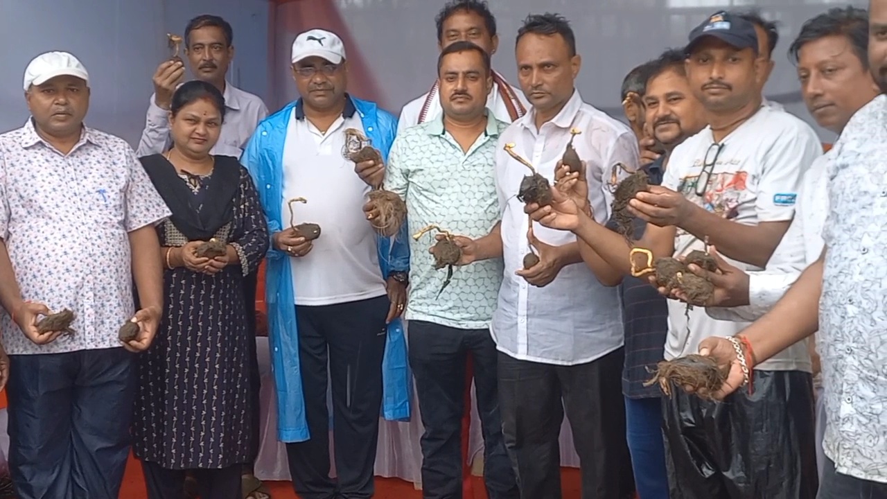 5000 PALM TREE PLANTATION IN PURI