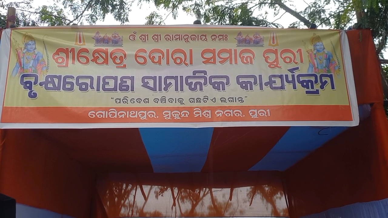 5000 PALM TREE PLANTATION IN PURI