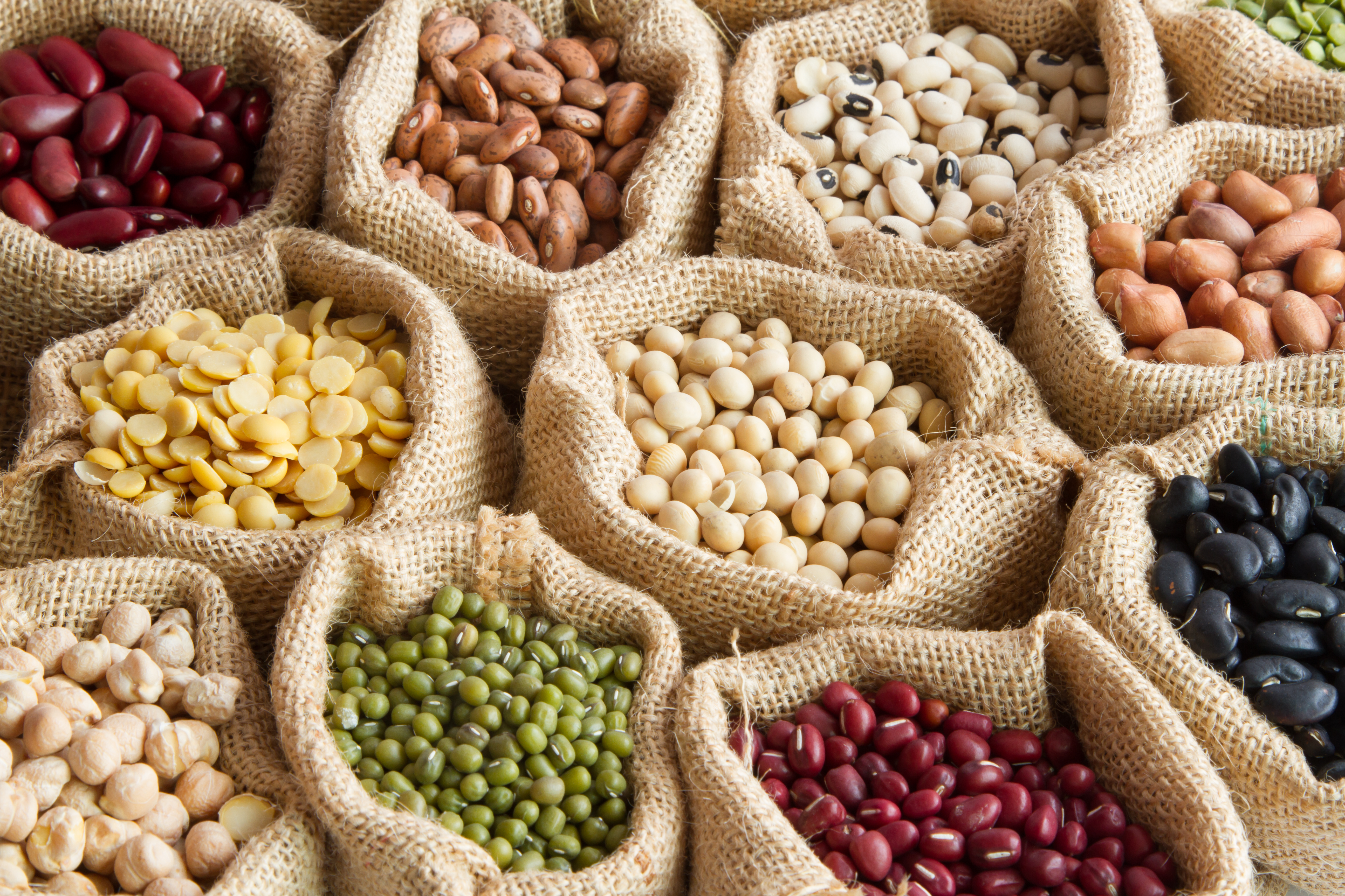 INDIA PROTEIN INTAKE INDIA PROTEIN DEFICIENCY WHY INDIANS PROTEIN DEFICIENT ಯಾರಿಗೆ ಎಷ್ಟು ಪ್ರೋಟೀನ್ ಬೇಕು