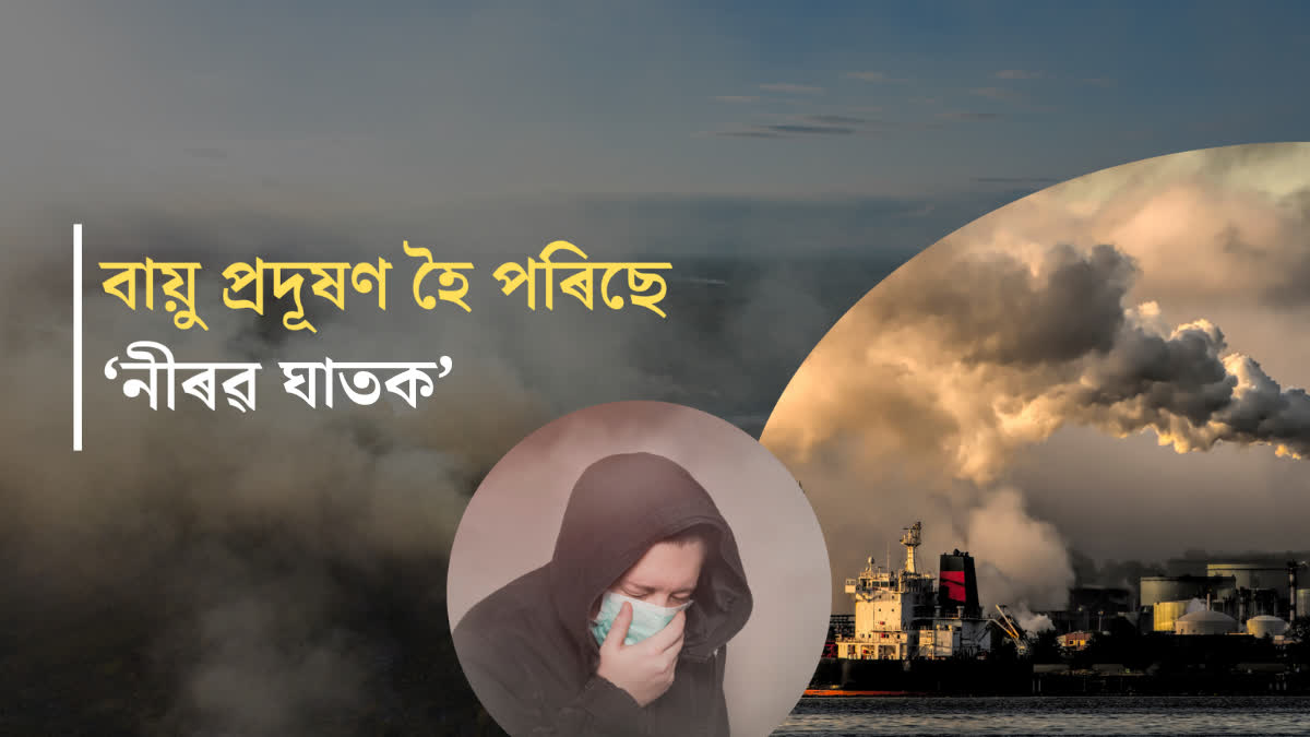 Can air pollution give you a heart attack? Learn how PM 2.5 increases the risk of stroke and cancer!