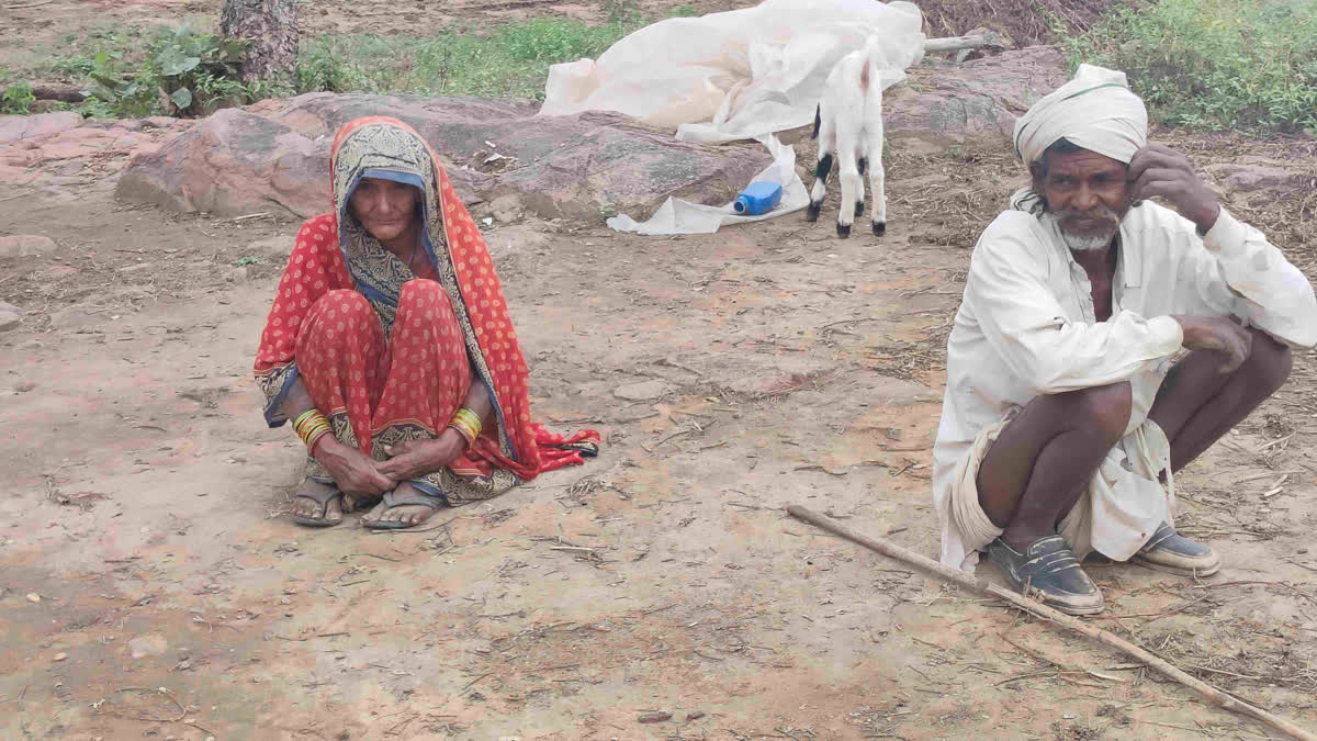The Pond That Was Built By Hands! How An Elderly Couple From Madhya Pradesh Turned Barren Land Into Green Gold