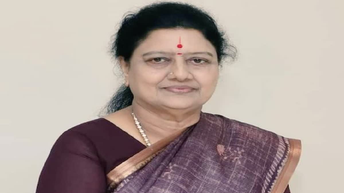 செங்கோட்டையன் நீக்கம் நுனிக்கிளையில் அமர்ந்து அடிமரத்தை வெட்டுவது போன்றது - சசிகலா காட்டம்!