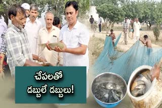 Fish Business Man Success Story