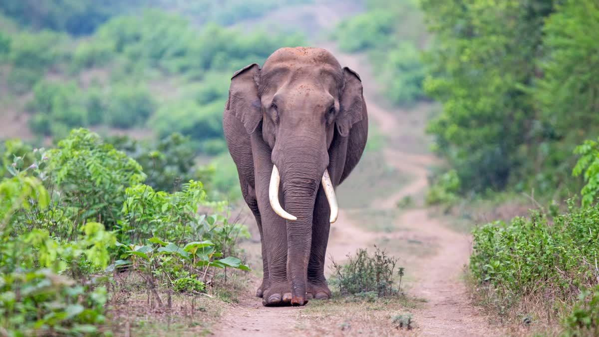 கோப்புப்படம்