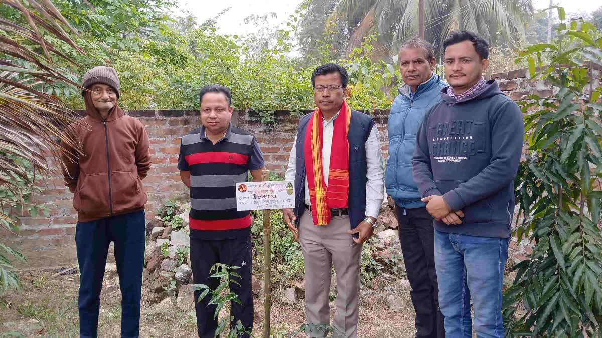 Nahor plantation in Sarupathar