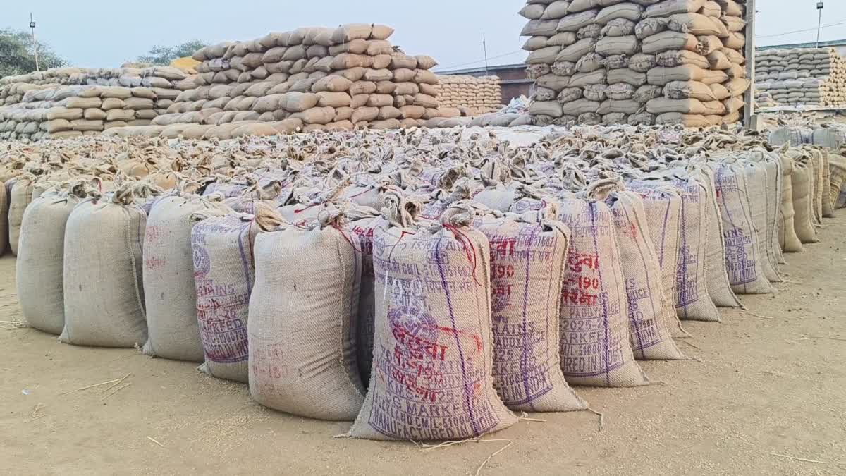 paddy procurement Balodabazar