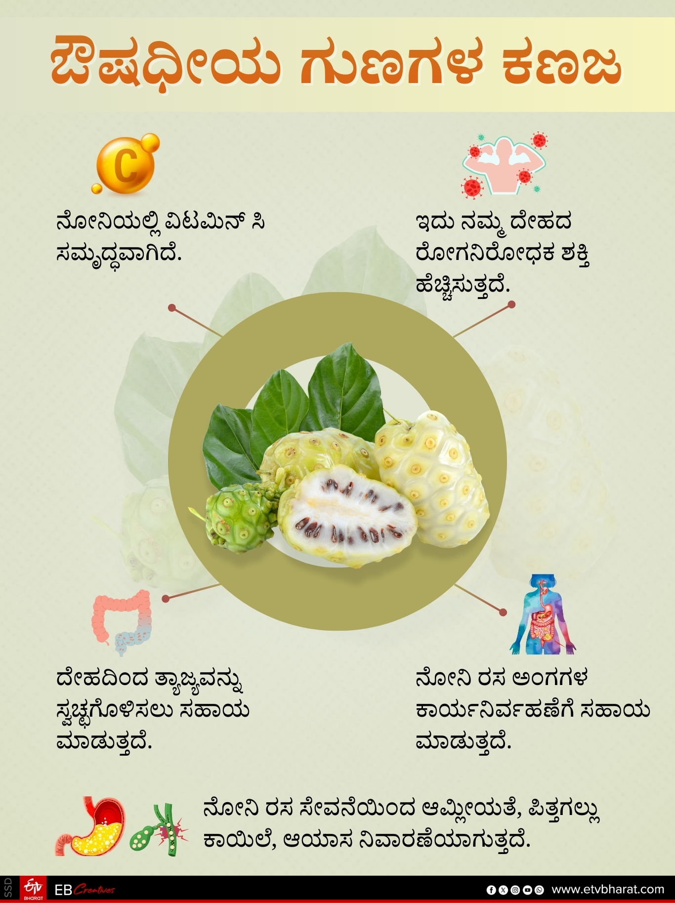 odisha-first-noni-fruit-farming-in-blasore-remuna