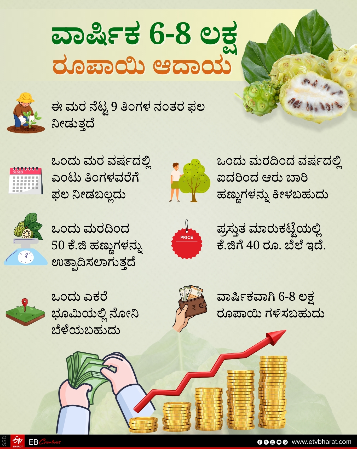 odisha-first-noni-fruit-farming-in-blasore-remuna