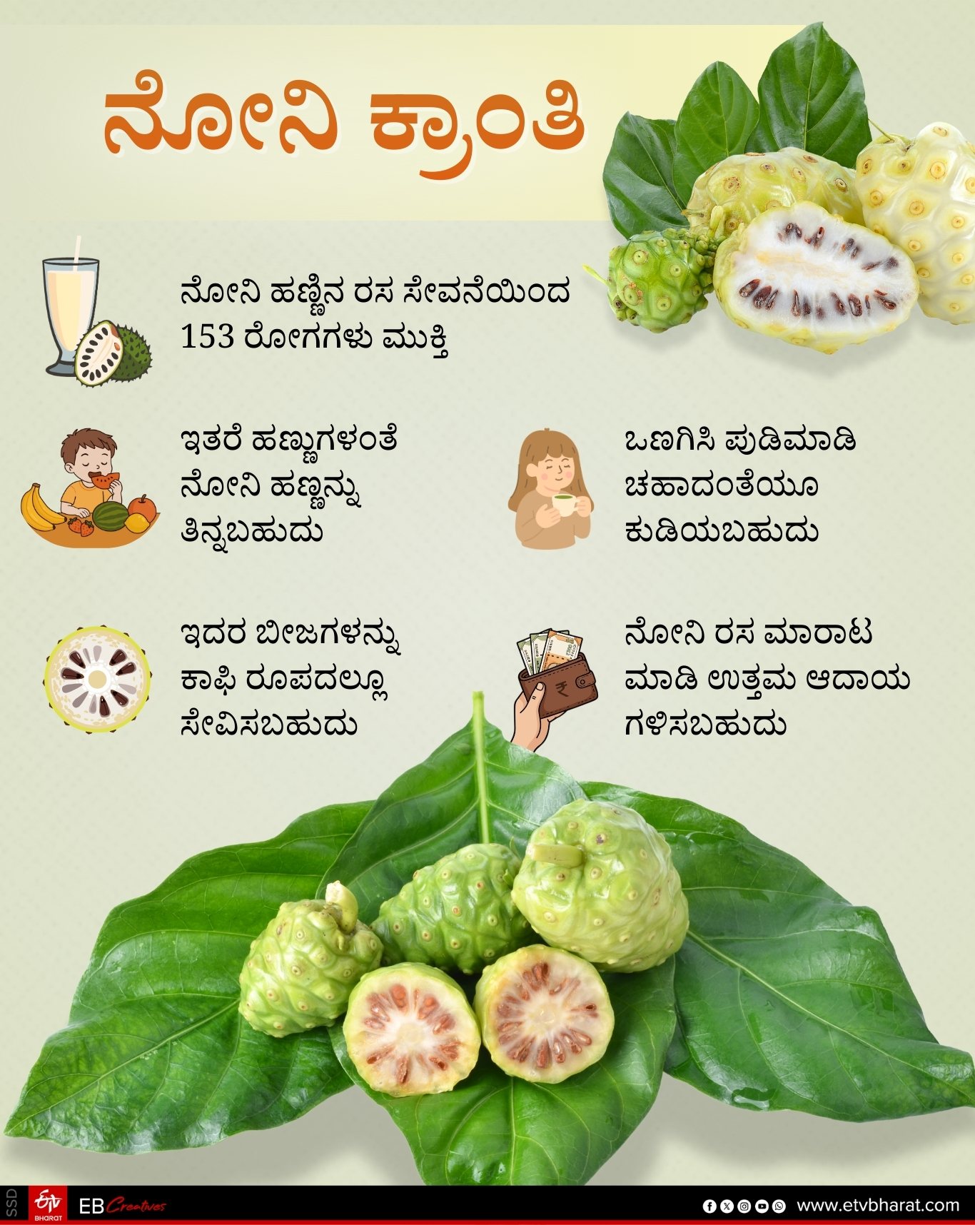 odisha-first-noni-fruit-farming-in-blasore-remuna