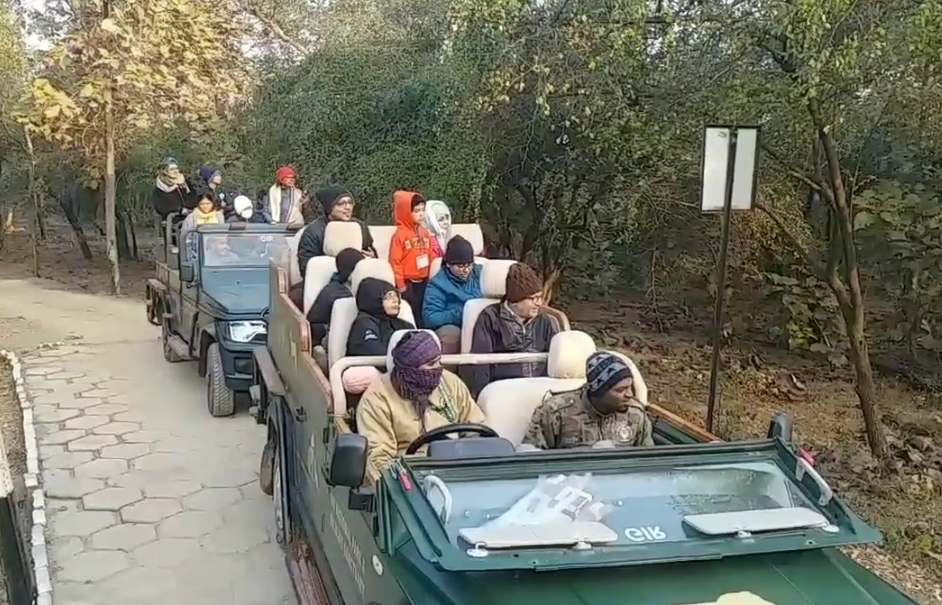 પ્રવાસીઓનું ગીરમાં ઘોડાપુર