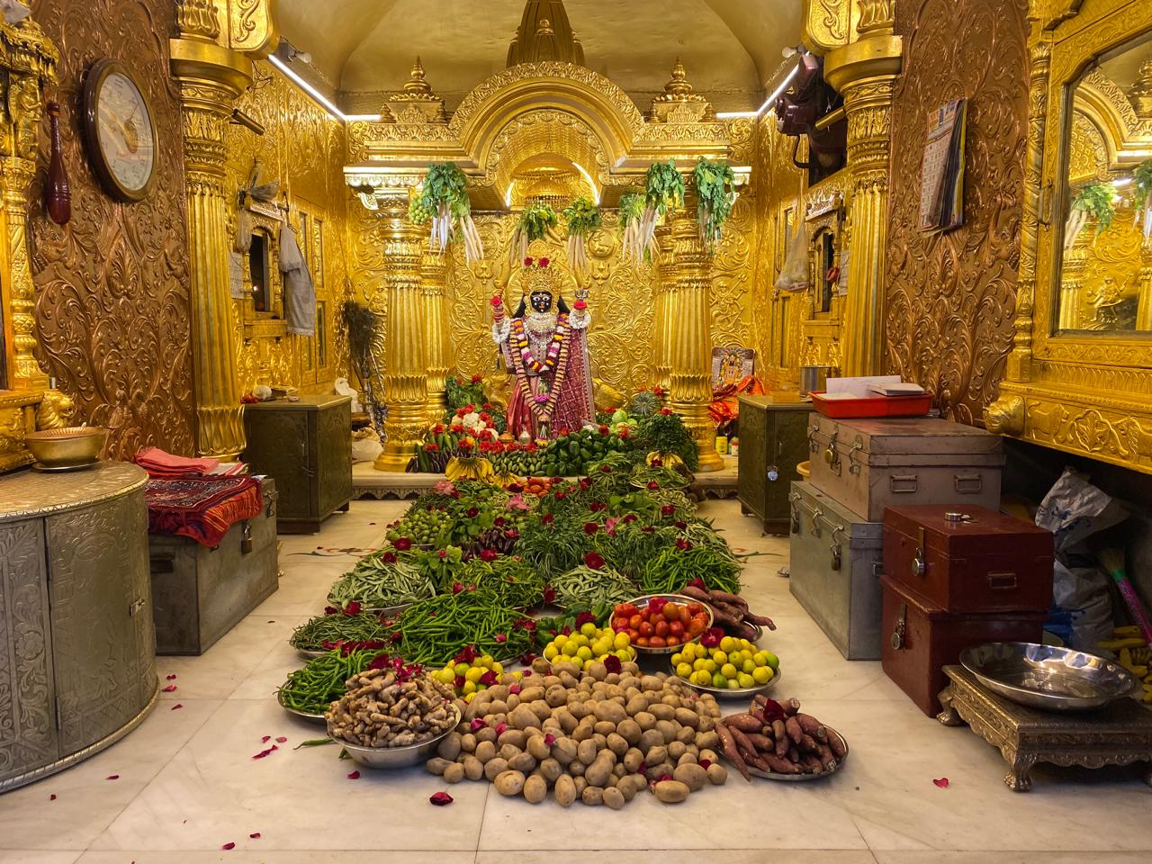 ભદ્રકાળી માતાજી