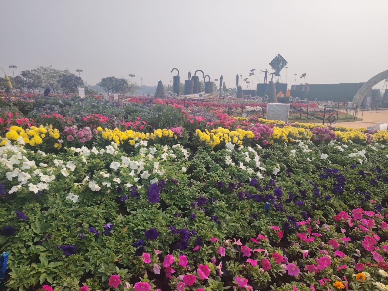 અમદાવાદ ફ્લાવર શો