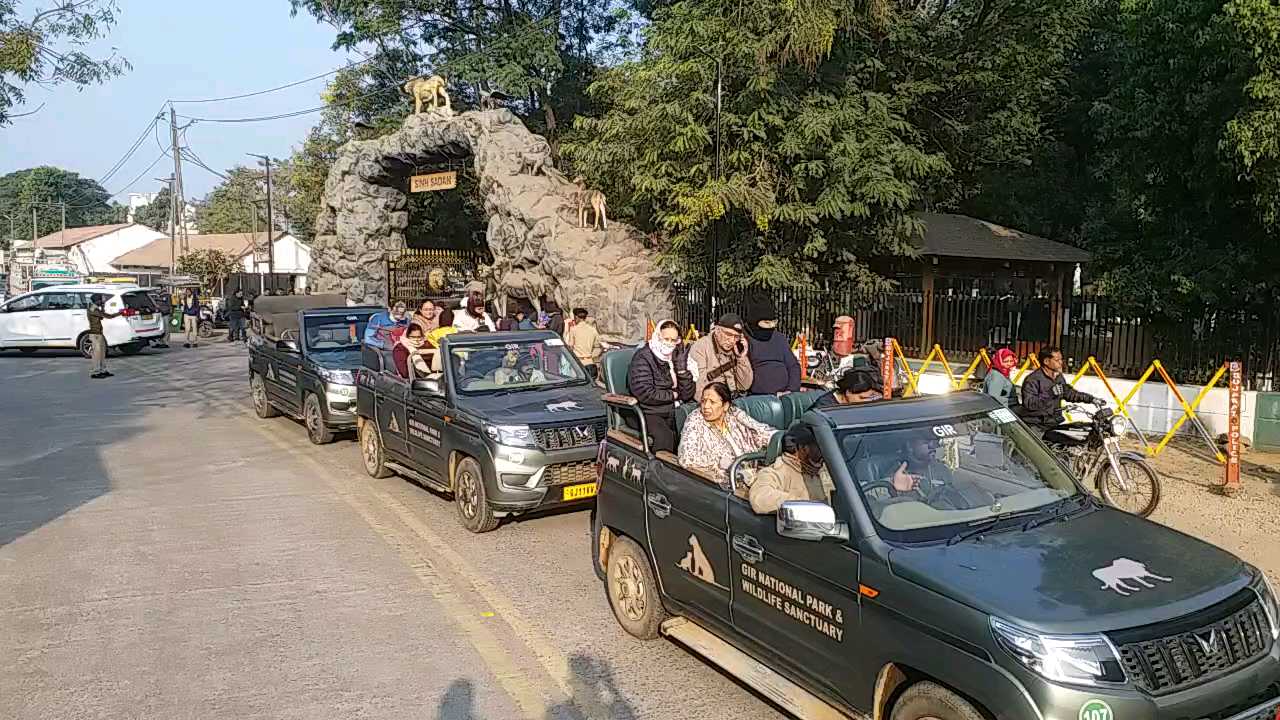 પ્રવાસીઓનું ગીરમાં ઘોડાપુર