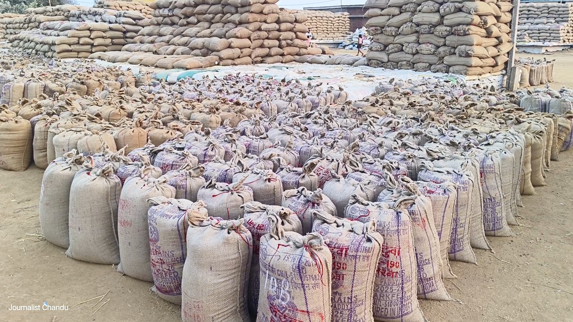 paddy procurement Balodabazar