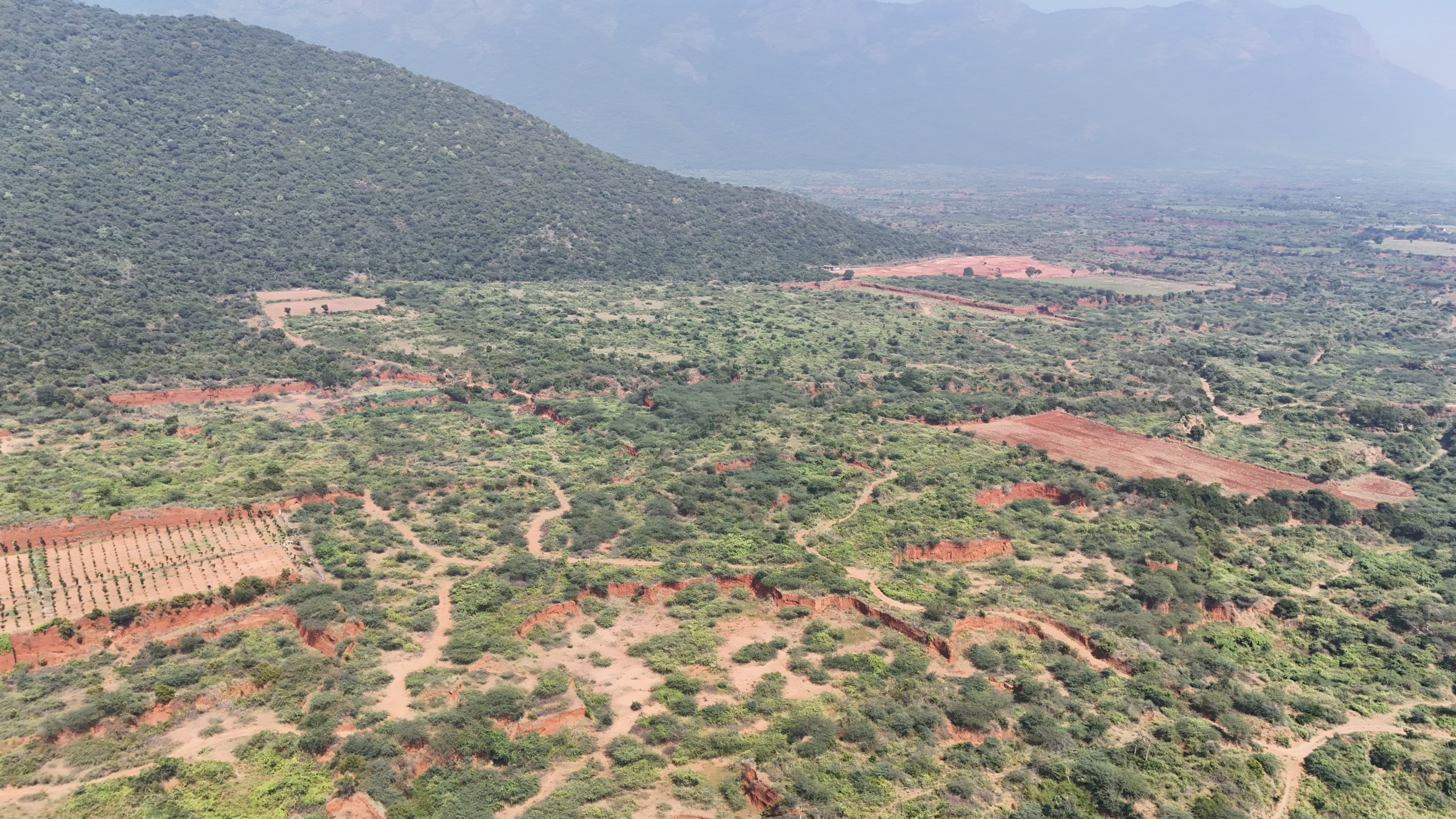 யானை வழித்தடங்கள்