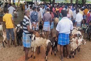 ஆட்டுச்சந்தையில் விறுவிறு விற்பனை