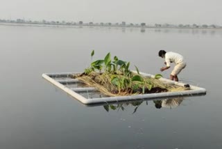 अलवर