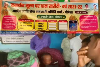 Paddy procurement started from tomorrow