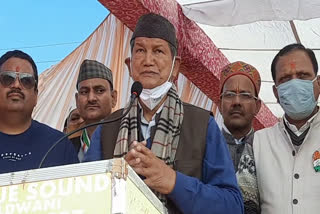 haldwani