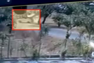 ଆଖି ପିଛୁଳାକେ ଓଲଟିଲା ସ୍କୁଲ ଭ୍ୟାନ