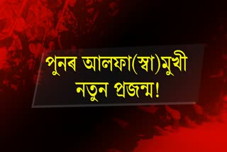 youths from assam joining outlawed ulfa independent