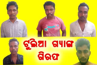 ଦାଦାବଟି ମାଗି ଗିରଫ ହେଲା ଟୁଲିଆ ଓରଫ ପ୍ରମୋଦ ଭୋଇ ଗ୍ୟାଙ୍ଗ