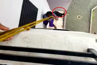 બિલાડીનો જીવ બચાવવા માટે સાતમા માળેથી ચોથા માળ સુધી ઊતરી આ મહિલા જુઓ વીડિયો