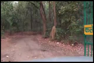 tourism in Yamunanagar
