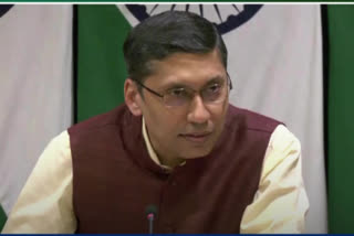 Two Indians missing in Kenya since July; govt in touch with Kenyan authorities: MEA