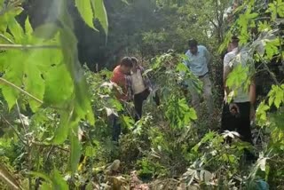 Shraddha murder case