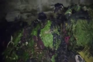 fire incident in Ranchi