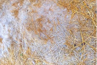 Snow freezing in Chilfi valley