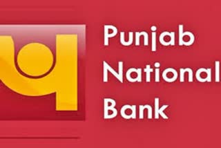 punjab national bank
