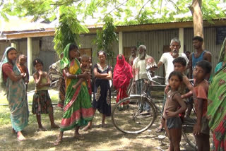 Barpeta