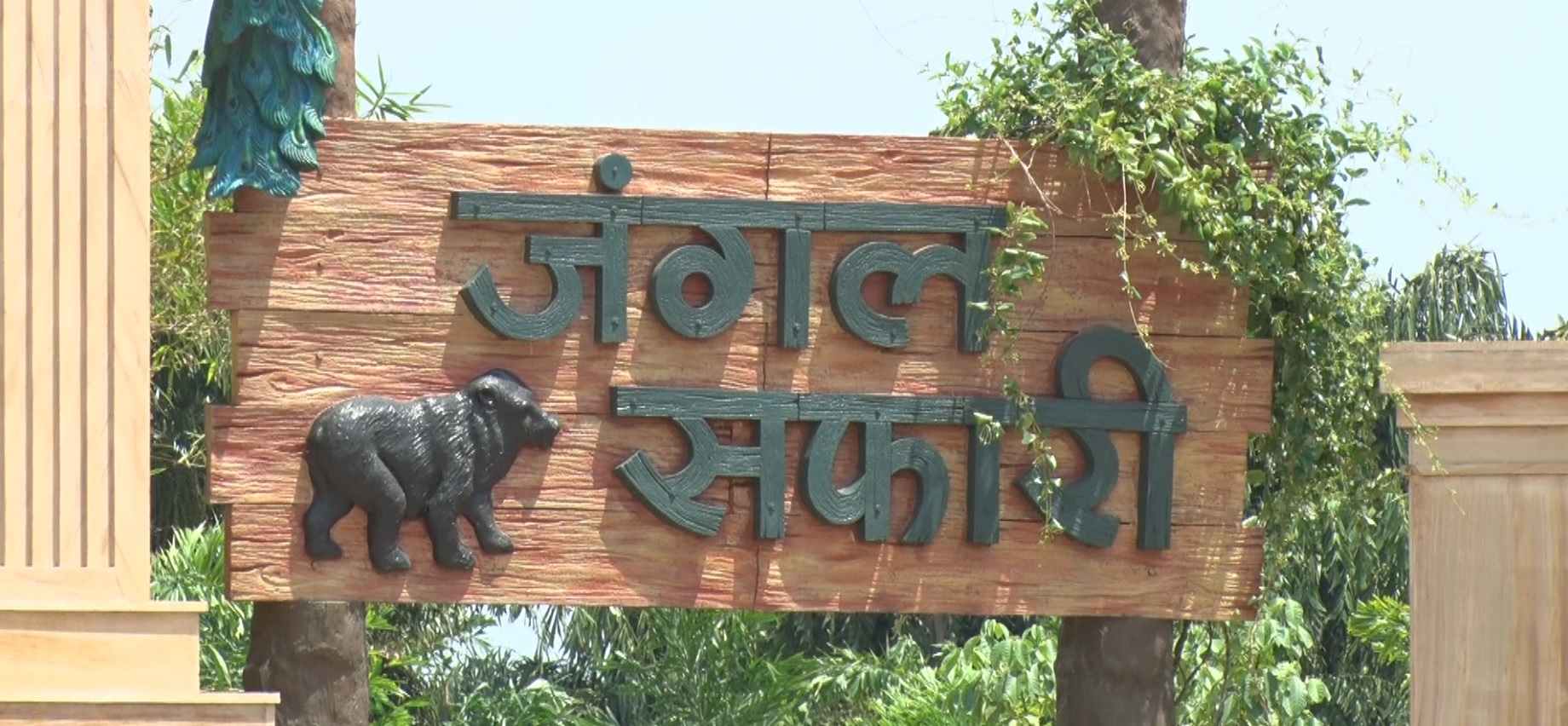 SPECIAL: छत्तीसगढ़ का मैन मेड जंगल सफारी, यहीं हुई थी PM मोदी की टाइगर से  'यारी'