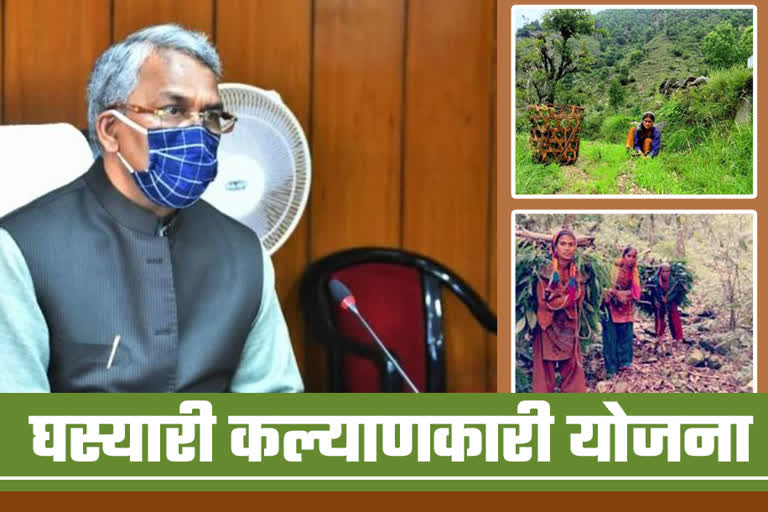 पहाड़ में महिलाओं के कंधों से बोझ कम करेगी CM घस्यारी योजना, जानें फायदे