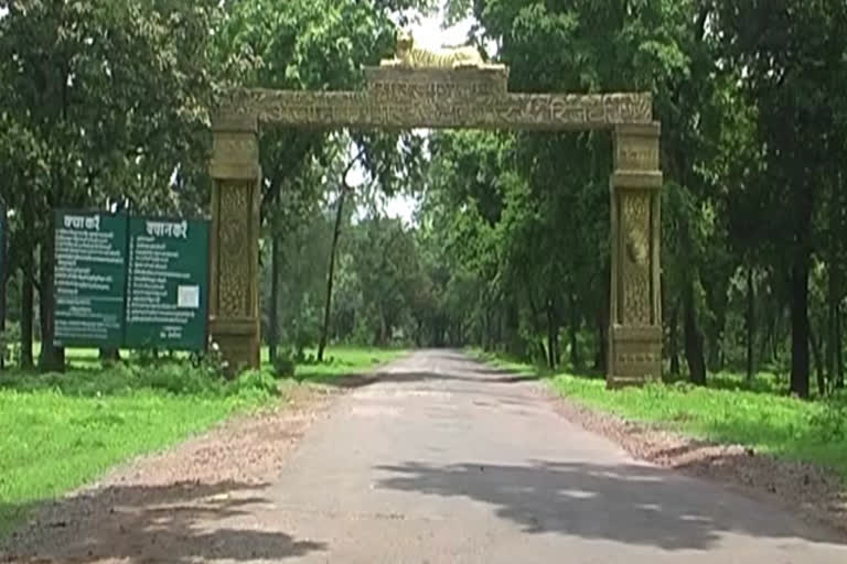 12 साल बाद भी अचानकमार टाइगर रिजर्व का कोर एरिया नहीं हुआ सुरक्षित
