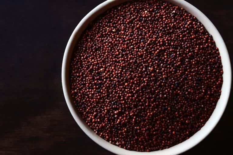 'રાગી'ના પોષણ મૂલ્યને જાણો છો