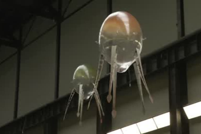 Anicka Yi's floating Xenojellies take over Tate Modern