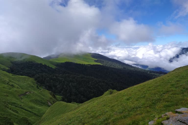 THARALI