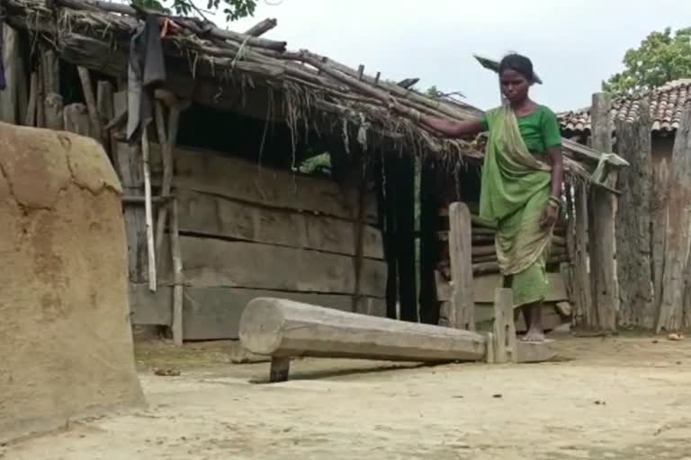 पहाड़ी कोरवा और बिरहोर जनजाति है बदहाल, सरकारी योजनाओं का असर नहीं