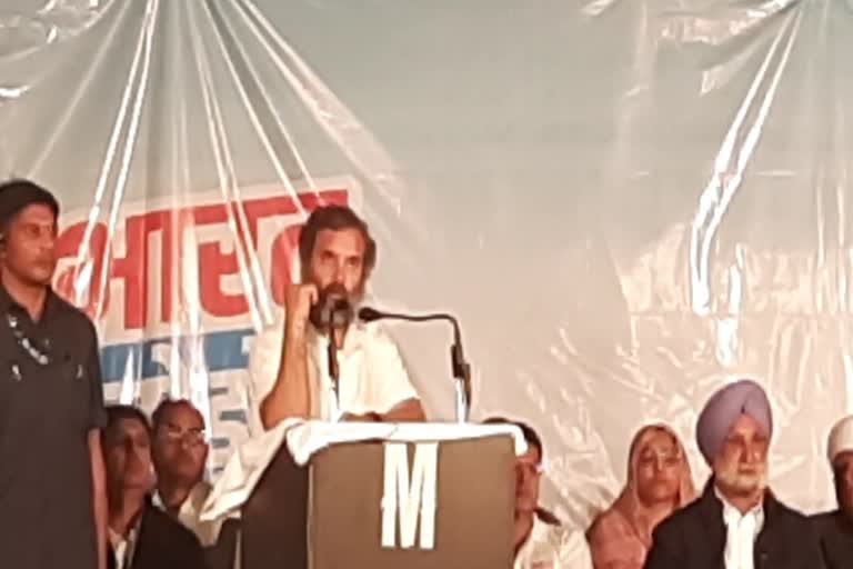 Bharat Jodo yatra in Rajasthan