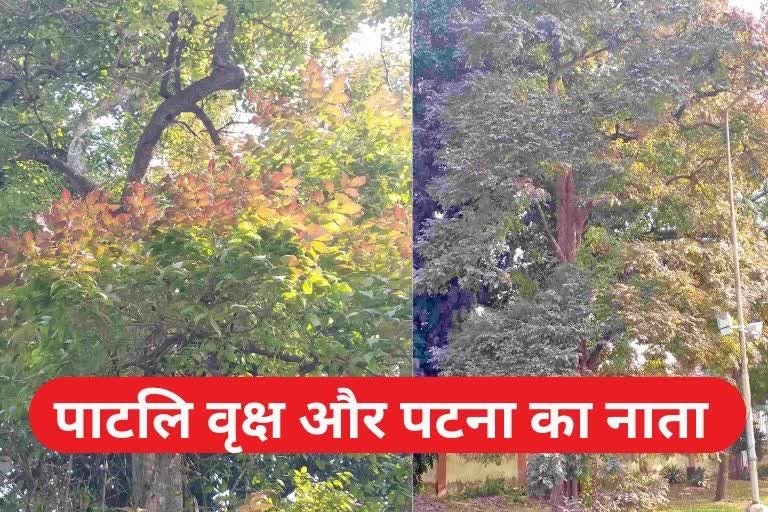 Identity Of Patna: क्या आपको पता है बिहार के पटना का नाम पटना कैसे पड़ा ...