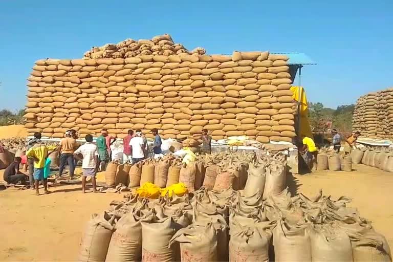 Paddy purchase target in Chhattisgarh: धान खरीदी का आज आखिरी दिन, जानिए  क्या पूरा होगा टारगेट